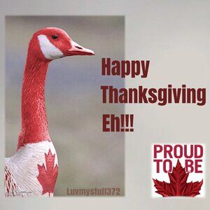 It's Thanksgiving Weekend AND it’s Discounted Shipping TODAY Let’s go shopping!